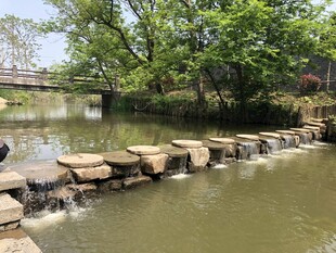 乡村石墩桥横跨潺潺溪流
