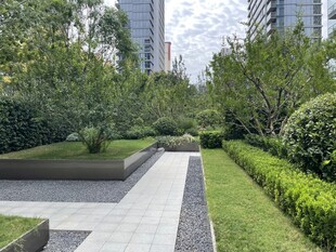 城市中的静谧园林步道