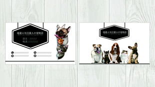 宠物主题名片设计