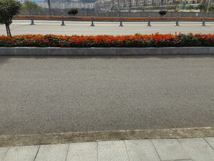 路边多彩花坛景观