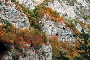 秋日山间斑斓景致