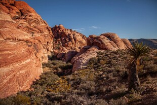 红岩景观自然荒野之美