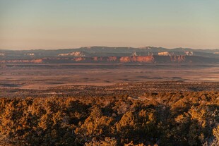 黄昏下的旷野与植被景观