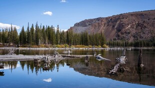 宁静湖畔山林美景