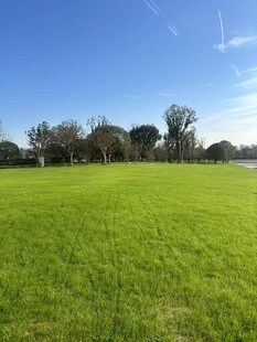 广阔绿草地与蓝天树木