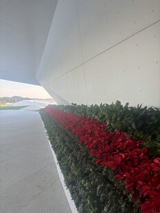 白色建筑旁的红绿植景观