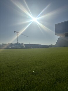 阳光照耀下的绿茵足球场