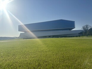 阳光下的草地与现代建筑