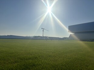 阳光照耀下的开阔草地