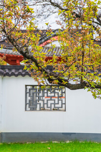 中式庭院秋景 古韵雅致