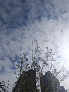 蓝天白云下的奇特山峰