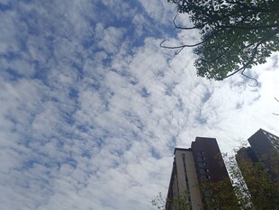 蓝天白云下的城市高楼