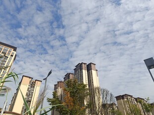 城市高楼与蓝天白云景观