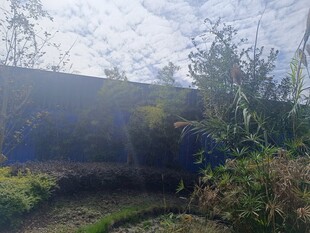 户外绿植旁的劳作场景