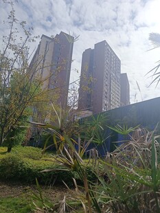 城市高楼旁的绿植景观