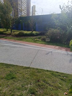 小区内的道路与绿化景观