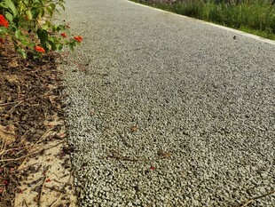 路边碎石小径与绽放花朵