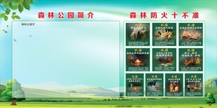 森林防火十不准