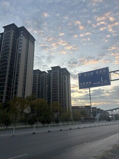 城市道路旁的高楼景观