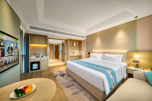 豪华套房内景展示