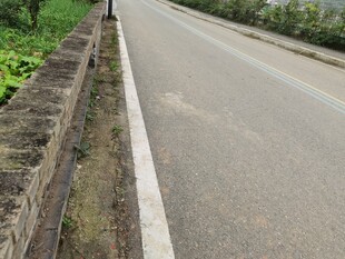 乡村公路旁的石砌护栏