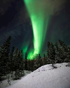 极光映照雪地松林美景