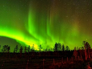 夜空中绚烂的绿色极光