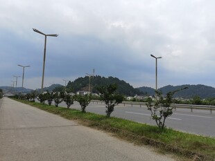 道路旁的路灯与自然风光