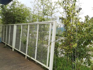 户外白色透明围栏景观