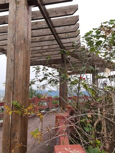 木质廊架下的户外景致