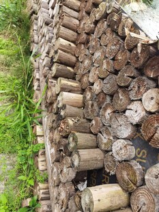 整齐堆放的原木