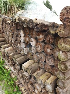 整齐堆放的户外木柴