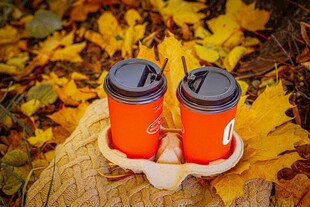 秋日树桩上的双橙色保温杯