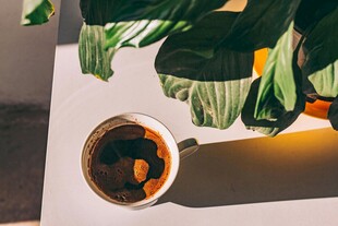 绿植旁的咖啡杯