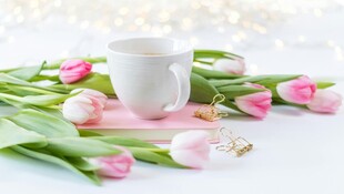 郁金香旁的白色咖啡杯