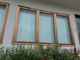 现代风格窗户搭配绿植