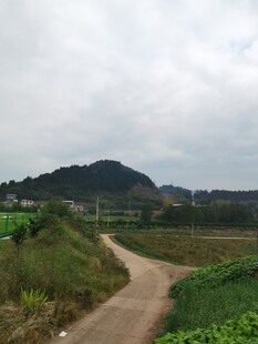 乡间土路田园风光景致