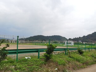 乡村田野边的绿色围栏景观