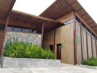 现代风格木质建筑外观