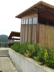 木质小屋旁的绿植景观