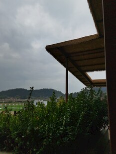 户外木质遮阳棚下的景致