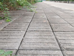 户外水泥方砖铺设路面