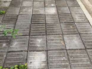 灰色石砖铺就的户外地面