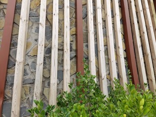 木质栅栏旁的翠绿植物