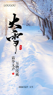 大雪节气24节气 雪景 