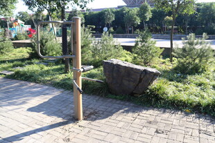 户外木质标识牌与绿植景观