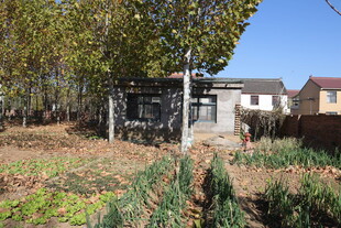 乡村菜园与民居景象