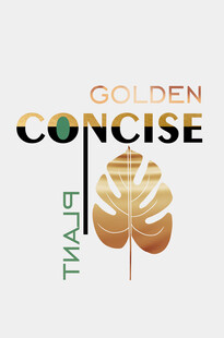 金色简约风格品牌标识