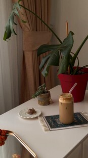 简约室内绿植与桌面摆件