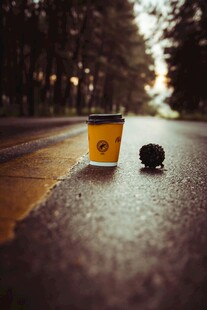 道路上的咖啡杯与松果